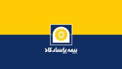 عملکرد درخشان بیمه پاسارگاد در ۸ ماهه نخست سال ۱۴۰۳