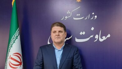 زینی‌وند:دستور وزیرکشورافزایش برگزاری انتخابات تمام الکترونیک است - هشت صبح