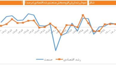 چرا دولت ها نتوانستند از بخش صنعت حمایت کنند؟