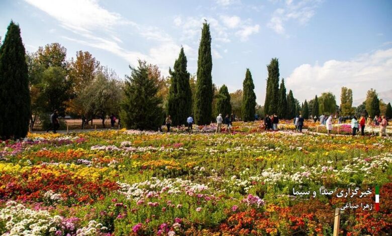 جشنواره گل‌های داودی در باغ گیاه شناسی ملی ایران (تصاویر)