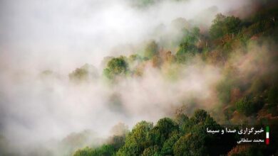 طبیعت چشم‌نواز مازندران در چهار فصل (تصاویر)