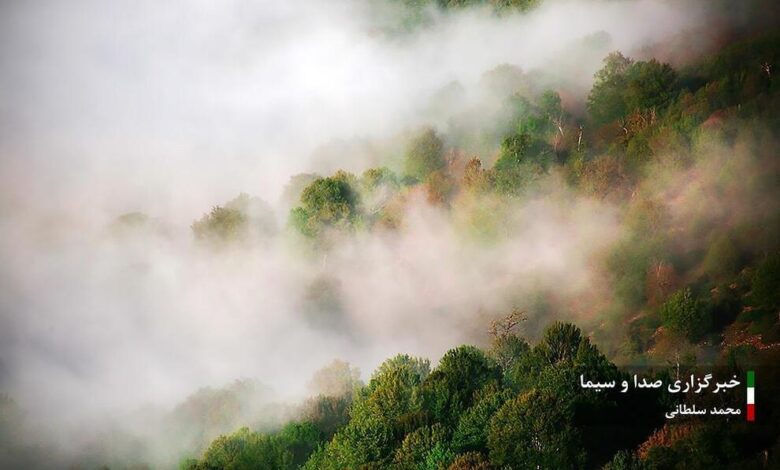 طبیعت چشم‌نواز مازندران در چهار فصل (تصاویر)