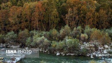 (تصاویر) آبشار بیشه در لرستان