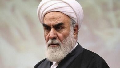 آیت‌الله محمدی گلپایگانی: مرحوم میرمحمد صادقی خیری به تمام معنا بود - هشت صبح