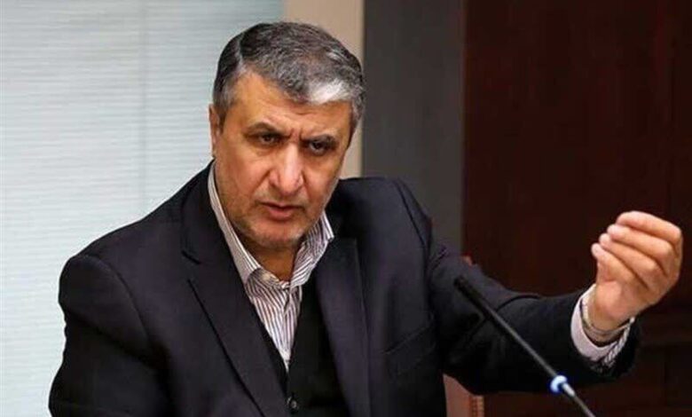 رئیس سازمان انرژی اتمی: مشکل غرب با شخص اسد نبود، بهخاطر همراهی او با انقلاب اسلامی بود / یاران انقلاب بدانند باید برای مولفههای قدرت تا پای جان ایستادگی کرد