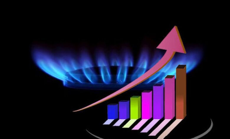 افزایش ۸۰ میلیون مترمکعبی مصرف گاز در بخش خانگی - هشت صبح