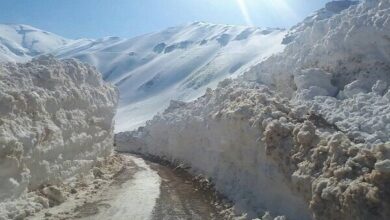 هواشناسی ایران امروز ۱۲ آذرماه؛ برف در خطه شمالی کشور - هشت صبح