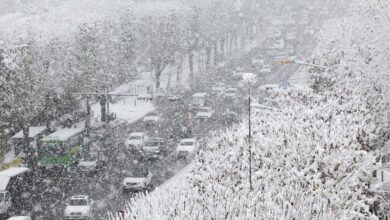 هواشناسی ایران ۲۳ آذر؛ آغاز بارش برف از امروز - هشت صبح