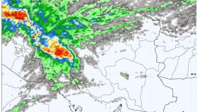 هواشناسی ایران امروز ۸ دی؛ آغاز بارش گسترده برف و باران در ۱۹ استان کشور - هشت صبح