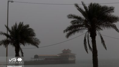 (تصاویر) گرد و خاک در بندرعباس