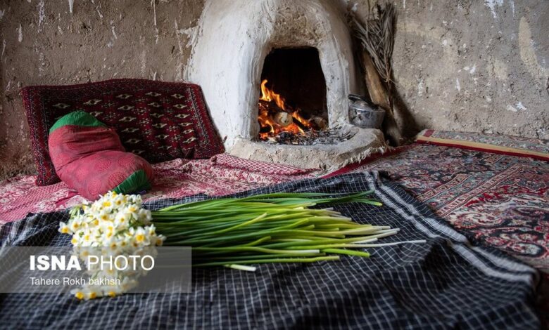 (تصاویر) نرگس زار خفر