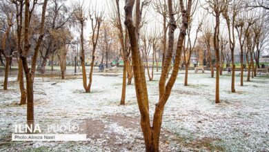 (تصاویر) اولین برف زمستانی در قزوین