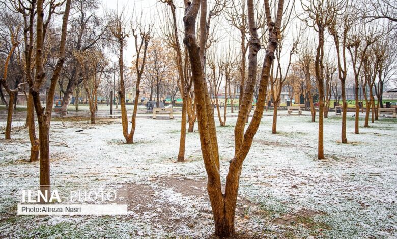 (تصاویر) اولین برف زمستانی در قزوین