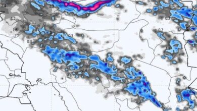 هواشناسی ایران ۲۸ دی؛ هشدار بارندگی و باد شدید در ۱۵ استان - هشت صبح