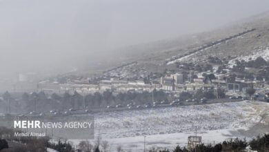 (تصاویر) زنجان در مه