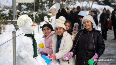 (تصاویر) جشن آدم برفی‌ها در بوستان جمشیدیه تهران