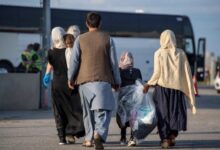 وزیر کشور: ۶ میلیون اتباع خارجی داریم که ۲ میلیون نفر از آنها بدون مجوز هستند / ۵۰ درصد اتباعی که اخراج می‌کنیم دوباره برمی‌گردند / توان کشور دیگر در این حد نیست که بتوانیم اتباع بپذیریم؛ فرصت‌های شغلی بسیاری از هموطنان ما گرفته شده