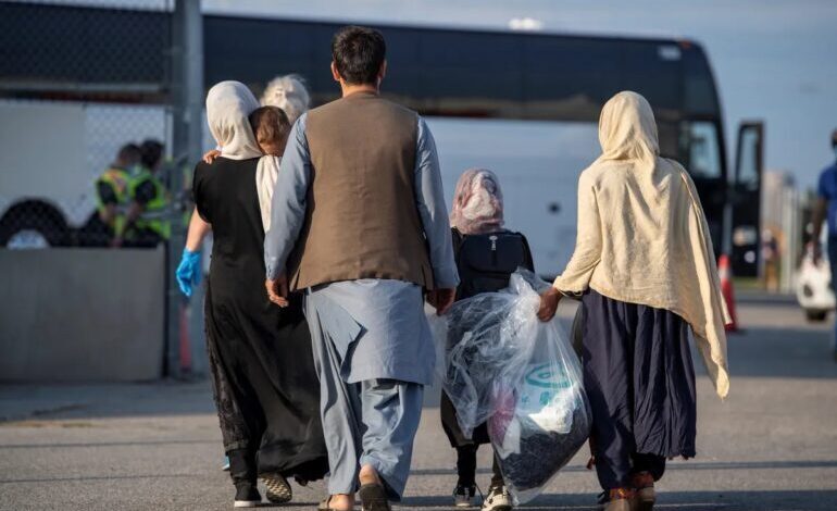 وزیر کشور: ۶ میلیون اتباع خارجی داریم که ۲ میلیون نفر از آنها بدون مجوز هستند / ۵۰ درصد اتباعی که اخراج می‌کنیم دوباره برمی‌گردند / توان کشور دیگر در این حد نیست که بتوانیم اتباع بپذیریم؛ فرصت‌های شغلی بسیاری از هموطنان ما گرفته شده