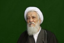 آیت الله موحدی کرمانی: ریشه قدرت این نظام، ولایت فقیه است - هشت صبح