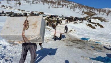 مجلس باید حقوق مرزنشینان را در بودجه ۱۴۰۴ احیا کند - هشت صبح