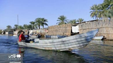 (تصاویر) تالاب شادگان، نگین درخشان خوزستان