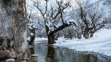 (تصاویر) بارش برف در الیگودرز