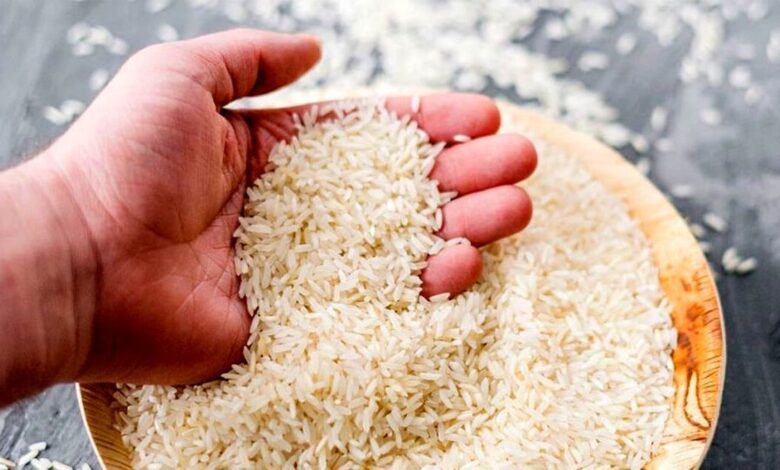 جزئیات توقف عرضه برنج در میادین میوه و ترهبار/ یک مقام مسئول: به تازگی مصوبهای ابلاغ شد که باید برنج ایرانی ۱۳۰ هزار تومان توزیع شود/ با اینکه اکثرا خود غرفهداران تولیدکننده هستند، عرضه به این قیمت برایشان امکانپذیر نیست