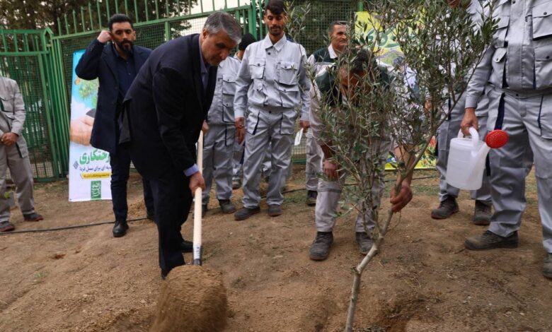 برگزاری روز درختکاری در سازمان انرژی اتمی ایران - هشت صبح