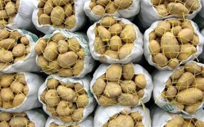عرضه گسترده میوه و سیبزمینی توسط سازمان تعاون روستایی در سراسر کشور - هشت صبح