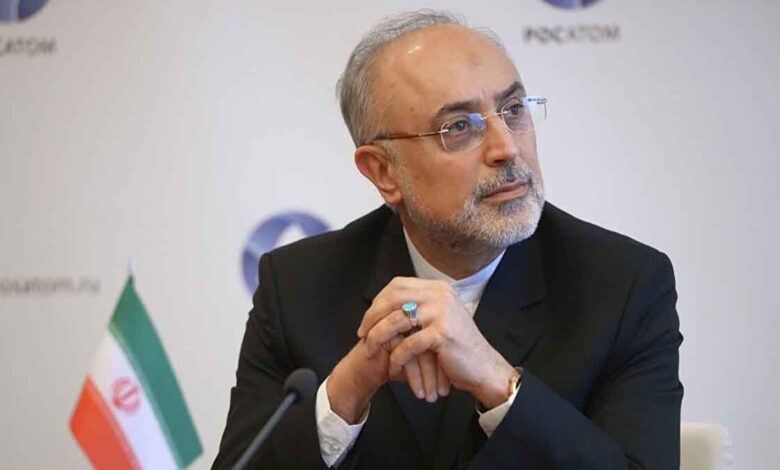 صالحی، وزیر اسبق خارجه: ما همواره با دست پر از مسقط بازگشتهایم/ امید که این شهر، پایهگذار بهاری دائمی در خاورمیانه شود