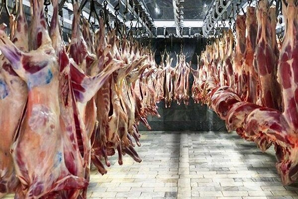 گوشتی که در بازارهای مصرف از جمله در تهران توزیع میشود، فاصلهی قیمتیاش با قیمت واقعی بسیار است / خشکسالی بی سابقهای که تجربه میکنیم، اثر منفی خود را بر مسألهی گوشت خواهد گذاشت / وقتی دامدار نتواند دام خود را سیر کند، قاچاق گسترده شیوع پیدا میکند