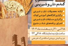جشنواره گندم، نان و شیرینی در کیش؛ طلایه‌دار فرهنگ نان و همدلی برای دومین سال پیاپی