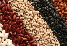 قیمت لوبیا در بازار به نیم میلیون رسیده و هم قیمت گوشت شده است