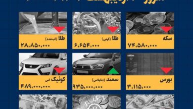 اینفوگرافیک / امروز ۲۰ اردیبهشت قیمت ها چقدر است؟