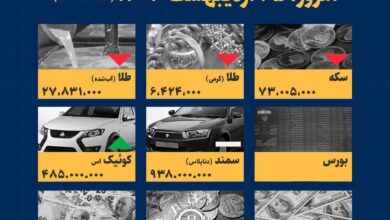 اینفوگرافیک / امروز ۲۵ اردیبهشت قیمت ها چقدر است؟