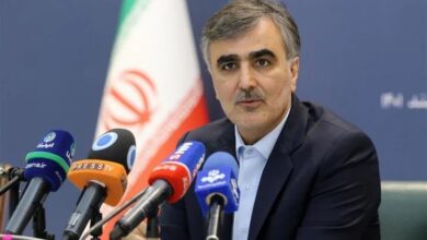 رئیس بانک مرکزی: هنوز رمزارز [شخصی] بابک زنجانی را دریافت کردیم یا می پذیریم
