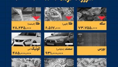 اینفوگرافیک / امروز ۱ خرداد قیمت ها چقدر است؟