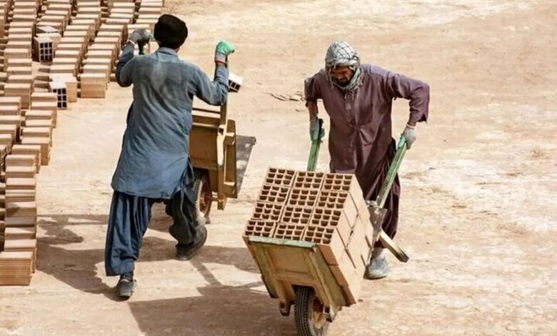 کارفرماها علاقهمند به جذب کارگران افغانستانی هستند، زیرا هیچ جایگاه حقوقی و مالی برای این افراد وجود ندارد/ آیا رواست به کارگر ایرانی تهمت بزنند که به دنبال کار نیست؟ نیروی ما اگر ۳۰ الی ۴۰ میلیون حقوق بگیرد و شغلی شرافتمندانه داشته باشد، چرا کار نکند؟