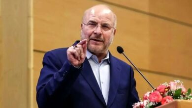 قالیباف: ۵۵ سال است که می‌خواهیم الگوی کشت را رعایت کنیم؛ ما بچه هم که بودیم یک‌سال سیب‌زمینی و یک‌سال پیاز نبود، الان هم همین‌طور است