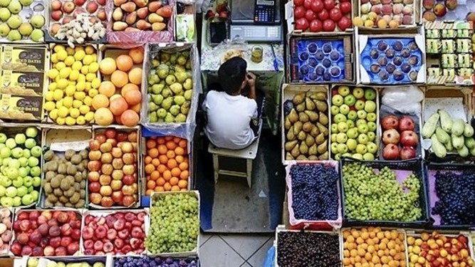 متوسط قیمت میوه در بازار ۱۰۰ به هزار تومان و بالاتر رسید / رئیس اتحادیه میوه و سبزی تهران: افزایش ۲ تا ۳ برابری هزینههای تولید باعث گرانی میوه شده