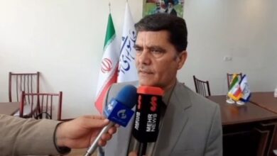 عجم: بخش بزرگی از دیپلماسی پارلمانی متمرکز بر حوزه آفریقا است - هشت صبح