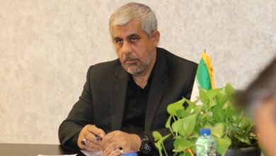 سعیدی: وزارت خارجه وظیفه خود در قبال اتباع ایرانی را انجام دهد - هشت صبح