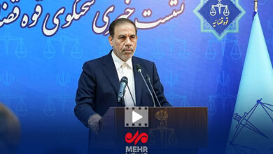 واکنش سخنگوی قوه قضاییه به اظهارات میرسلیم درباره جلسات استیضاح مجلس