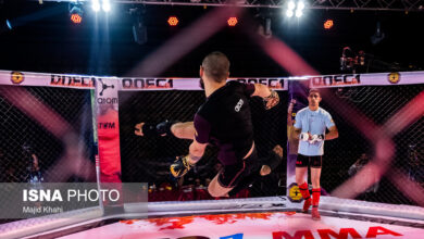 فدراسیون رزمی به‌دنبال مجوز برای حضور زنان در MMA