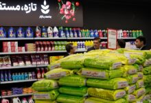 معاون وزیر کشاورزی: کالاهای اساسی به اندازه کافی موجود است/ بازاررسانی گوشت قرمز، مرغ، تخم‌مرغ، برنج، آرد و روغن در حال انجام است / تا اطلاع ثانوی، نوبت‌های تعطیلی نانوایی‌ها برای پخت نان محدود شده است