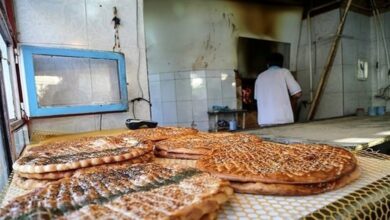 استاندار: آغاز به کار نانوایی‌های شبانه‌روزی از فردا در مازندران