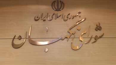 رژیم صهیونیستی جز به زبان قدرت و مقاومت سخن نمی‌فهمد - هشت صبح