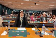 عبداللهی: زنان، کنشگران کلیدی در معماری آینده پایدار بریکس هستند - هشت صبح