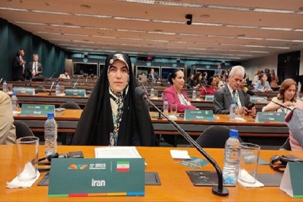 عبداللهی: زنان، کنشگران کلیدی در معماری آینده پایدار بریکس هستند - هشت صبح