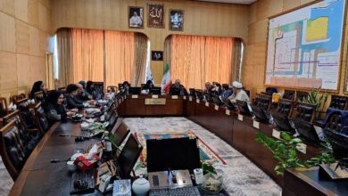 مدنی زاده در فراکسیون زنان مجلس: تابع مکتب اقتصاد اسلامی هستم - هشت صبح